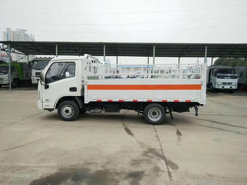 湖北程力躍進(jìn)小福星小型氣瓶運(yùn)輸車(chē) (17)